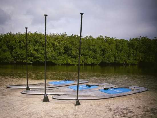 Krystal Adventures in Turks & Caicos